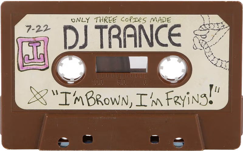 I'm Brown, I'm Frying! mixtape by DJ Trance